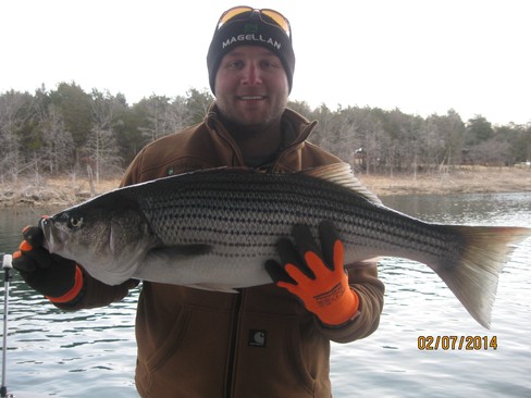 Nice Striped Bass